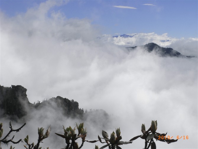 1526972489566556.jpg 1 (7).jpg