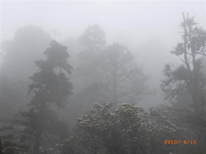 1526972809486646.jpg 1 (9).jpg