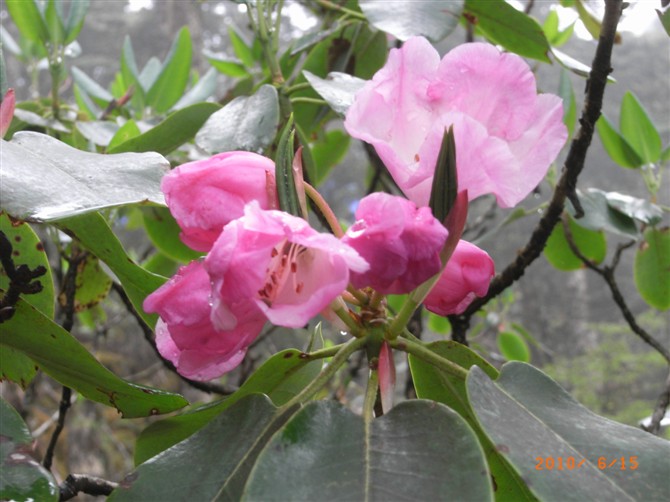 1526973084932670.jpg 1 (12).jpg