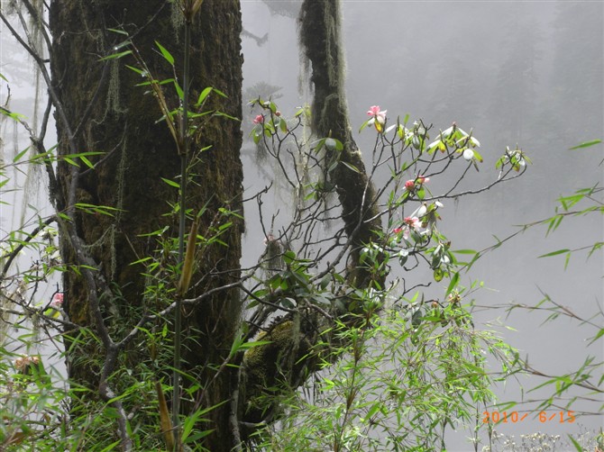 1526973578975616.jpg 1 (14).jpg