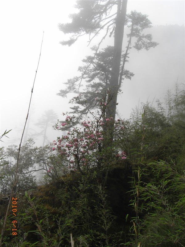 1526973776620819.jpg 1 (17).jpg