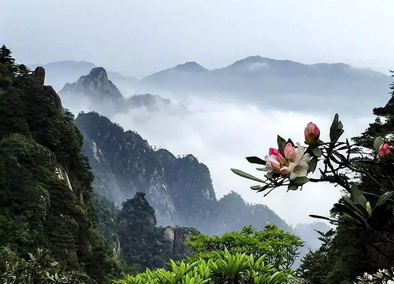 1526975694834816.jpg 1 (2).jpg