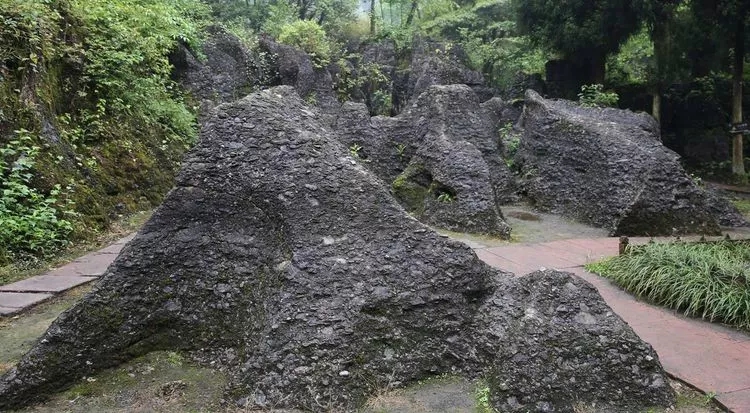 1557109094136625.jpg 1_wps图片.jpg