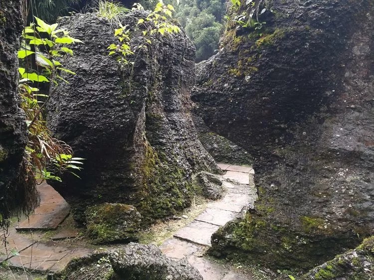 1557109218641948.jpg 3_wps图片.jpg