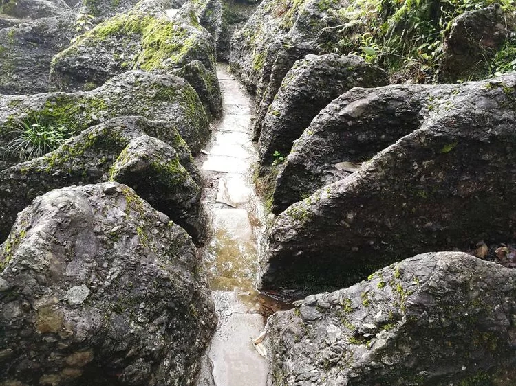 1557109259418656.jpg 4_wps图片.jpg