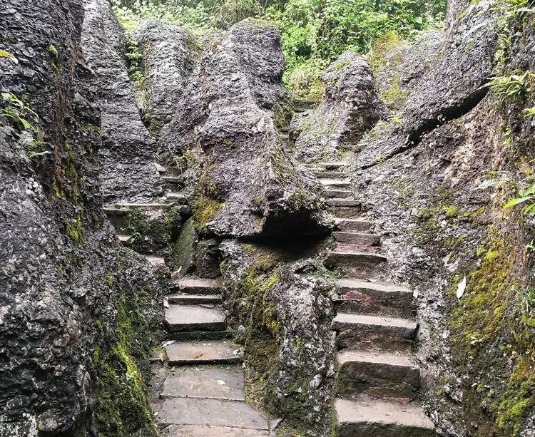 1557109346700772.jpg 5_wps图片.jpg