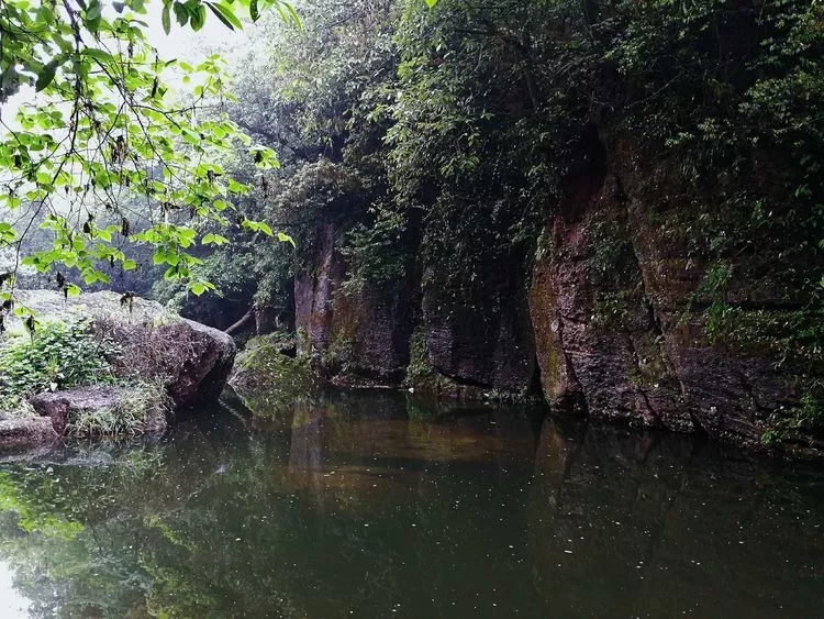 1557109561104459.jpg 8_wps图片.jpg