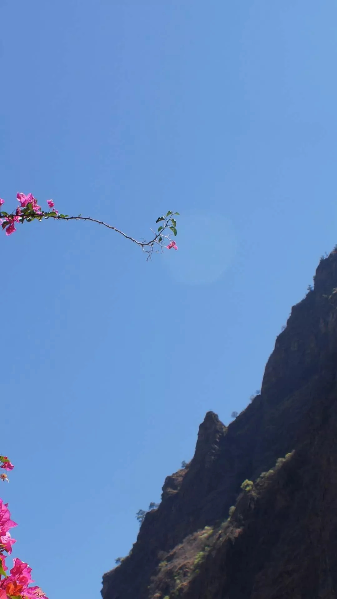 1557111889207370.jpg 1557111889207370.jpg