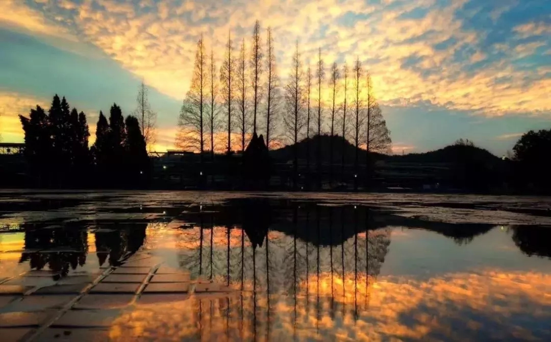 1557111974107162.jpg 8_wps图片.jpg