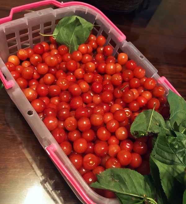 1557113618116852.jpg e97f6fefb63d4bcaba6d30f5f1ec82c_WPS图片.jpg