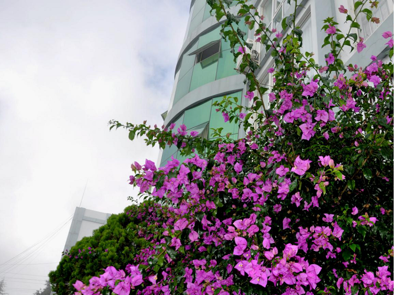 1568275136151945.png 图片11.png