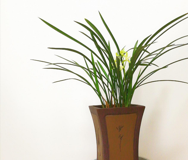 1625210700129659.png 1.png